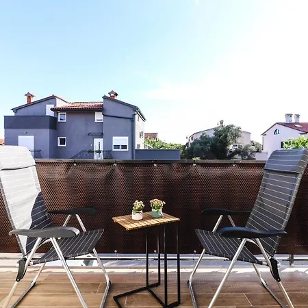 Premium Cocaletto Daire